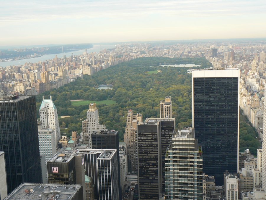 Top Of The Rock: Top Of The Rock 009